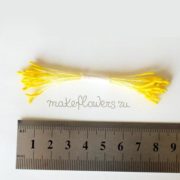 Тычинки удлиненные желтые крупные