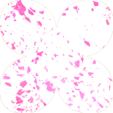 Зефирный мраморный розовый фоамиран