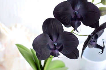 Орхидея из фоамирана мастер-класс