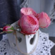 Молд лепестка пионовидной розы. Автор работы Татьяна Каплина