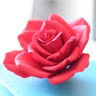Полимерная зефирная глина Crafters Clay, красная — изображение 4